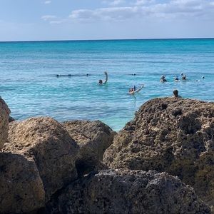 Meet your Posher, Jenny